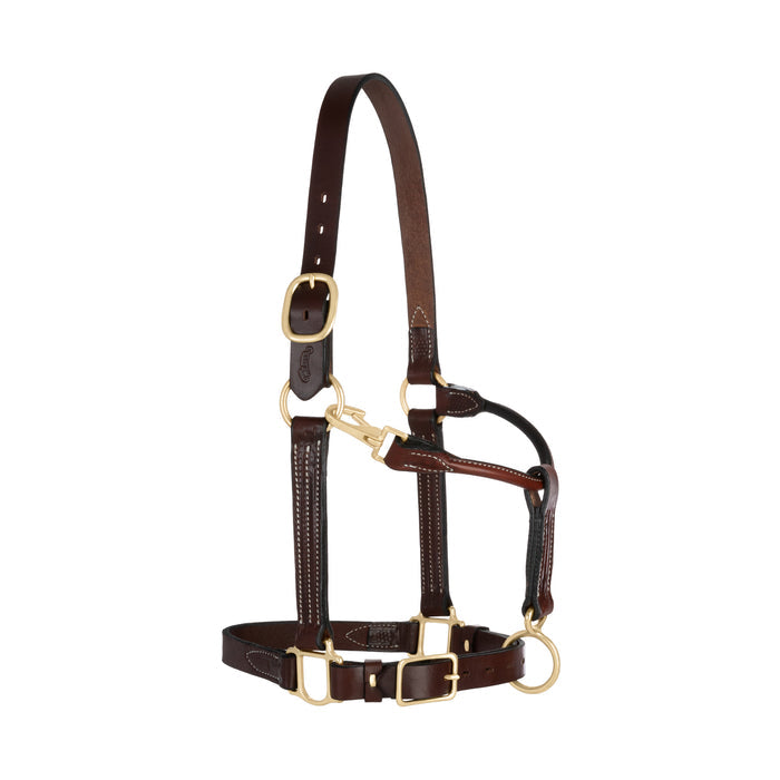 1" Basic Leather Halter