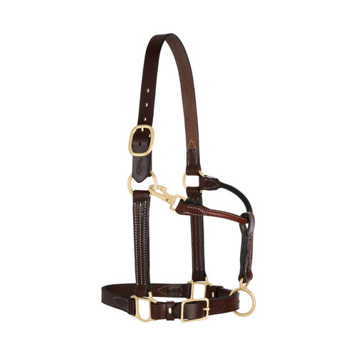 1" Basic Leather Halter