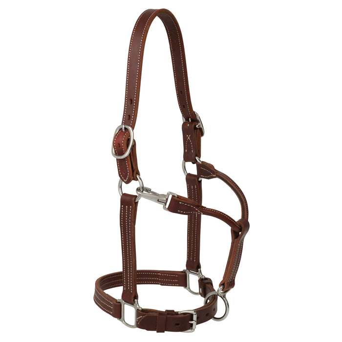 1" Triple Stitch Adjustable Stainless Steel Leather Halter