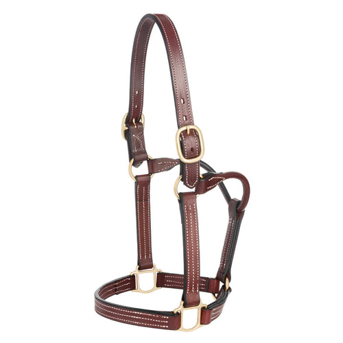 1" Triple Stitch Non-Adjustable Leather Halter