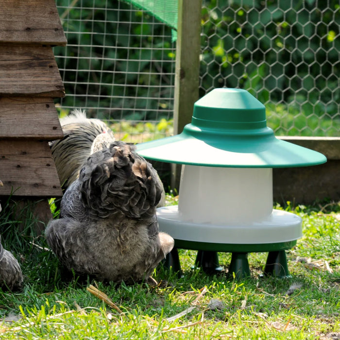 Bird perched on grass next to a green and white bird feeder
