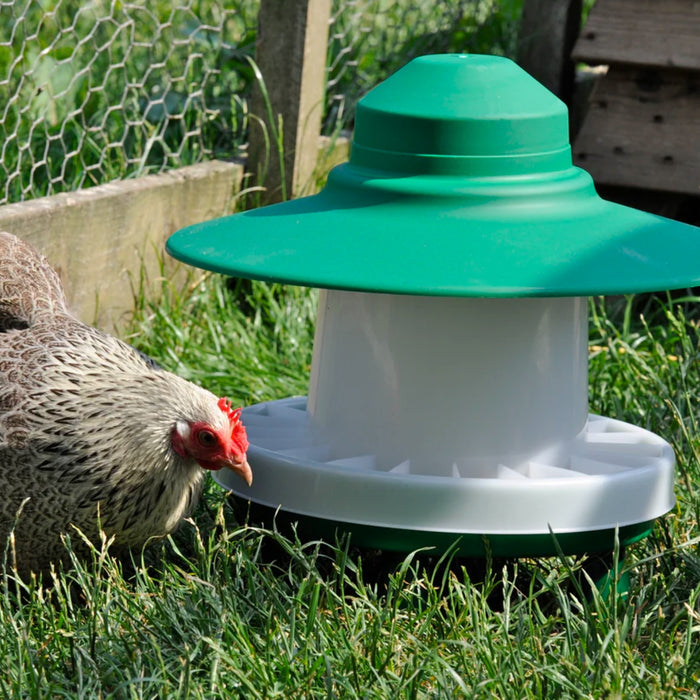Chicken pecking at a green and white poultry feeder in a grassy area.