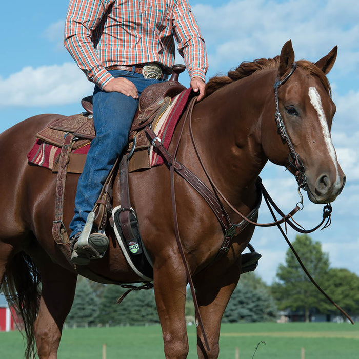 Austin Flat Sliding Ear Headstall