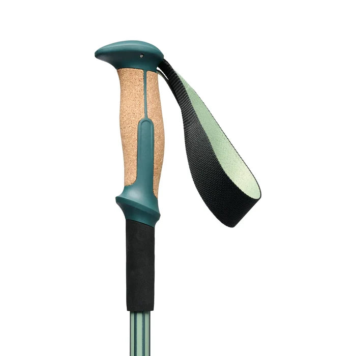 Black Diamond Trekking Poles Black Diamond Trail Vista Shock Trekking Poles