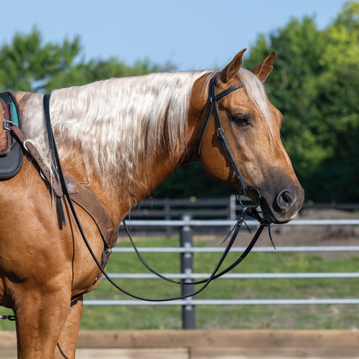 Black Leather Split Reins, 5/8" x 7'