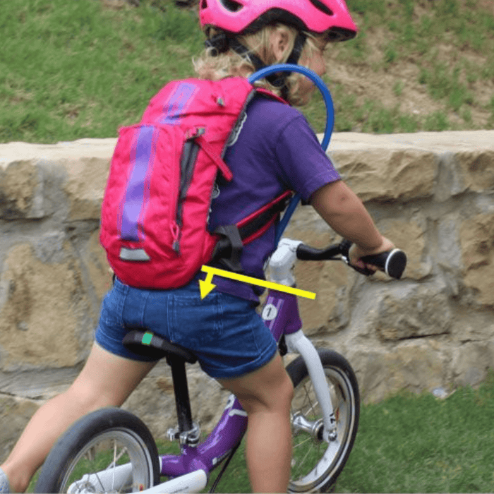 Camelbak Hydration Pack Mini M.U.L.E