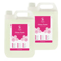 Citrus Foam Hand and Body Wash | 5L