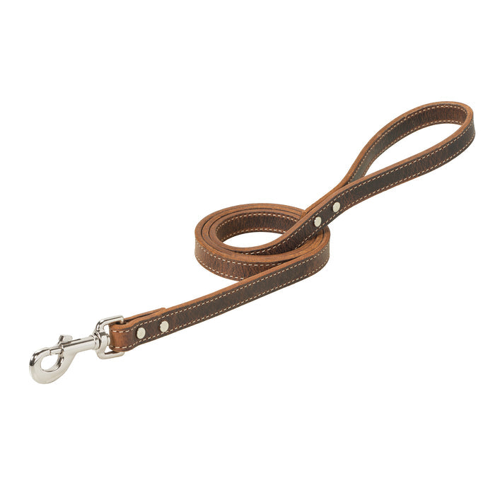 Crazy Horse Dog Leash, 3/4" x 4, Dark Chocolate