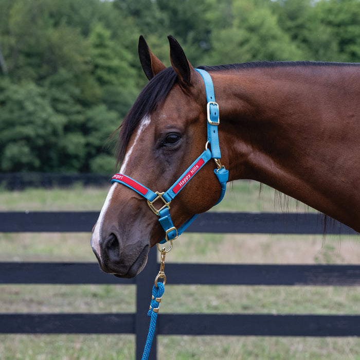 Custom Embroidered Nylon Halter, Adjustable