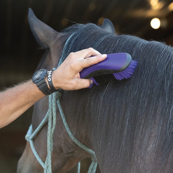 Dandy Brush