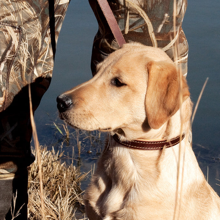 Deer Ridge Collar