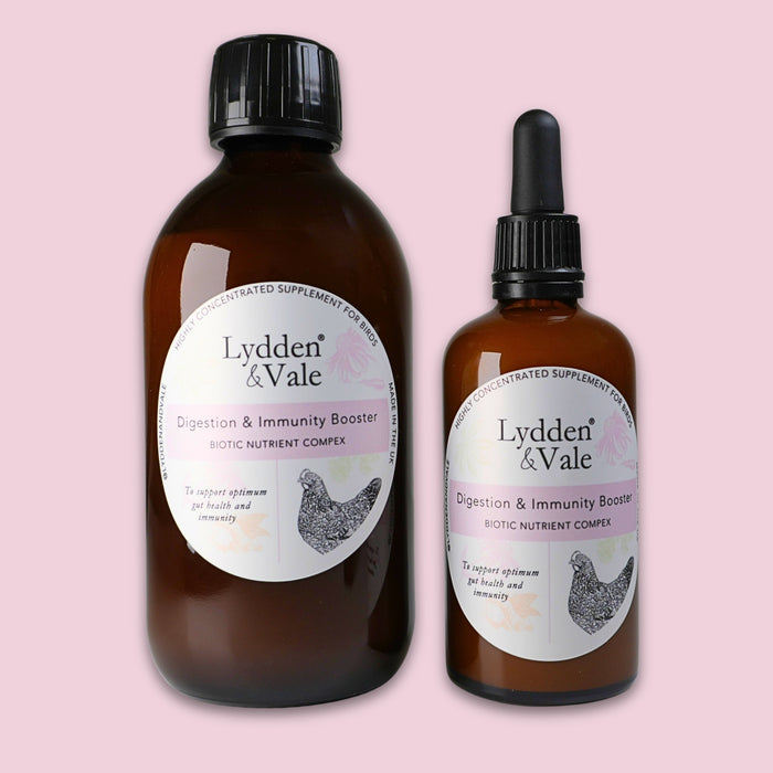 Two amber glass supplement bottles from Lydden & Vale on a solid pale pink background. The larger bottle on the left is a ribbed cap bottle, and the smaller bottle on the right is a dropper bottle, both with white labels featuring black text and a chicken illustration.