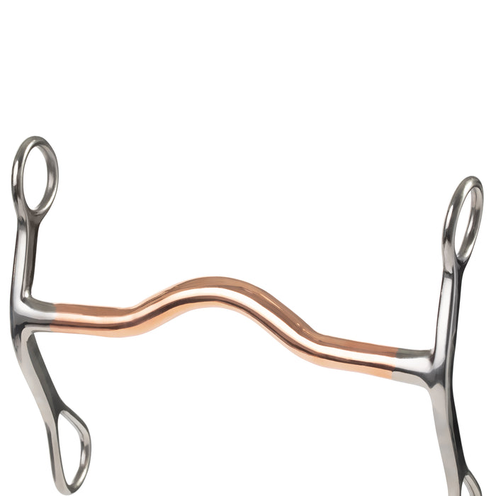 Draft Bit, 6-1/2" Mouth with Copper Inlay