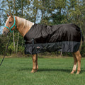 Economy Horse Blanket for Turnout, Medium Weight, 180g Fill, 600 Denier