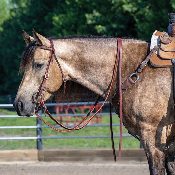 Extra Heavy Oiled Hermann Oak Harness Leather Split Reins, 8'
