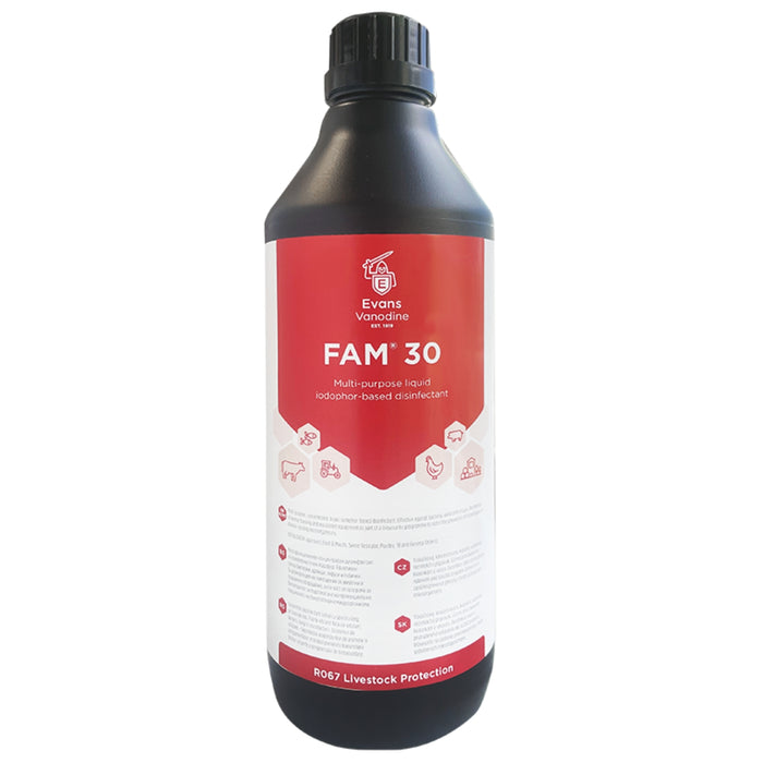 Two containers of FAM® 30 Multi-purpose Iodophor Disinfectant, a large bottle with a red cap and a smaller bottle with a white label.