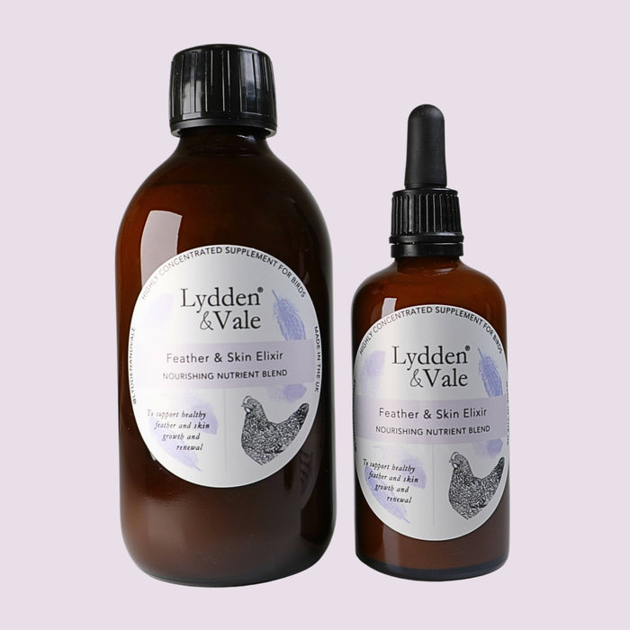 Feather & Skin Elixir