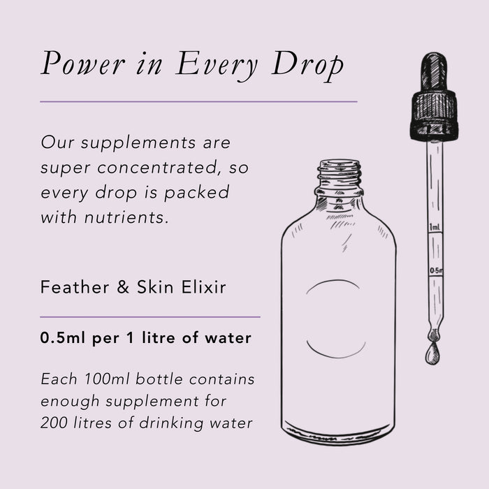 Feather & Skin Elixir