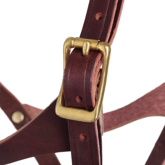 Figure 8 Foal Halter, Suckling
