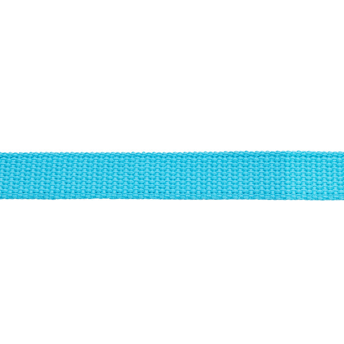 Flat Cotton Lunge Line, 1" x 30 with Nickel