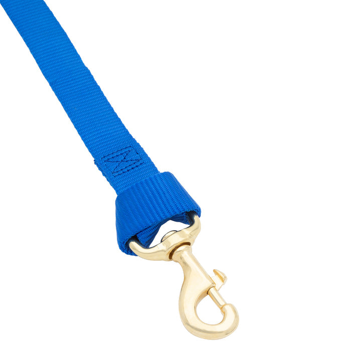 Flat Nylon Lunge Line, 1" x 30 with Snap