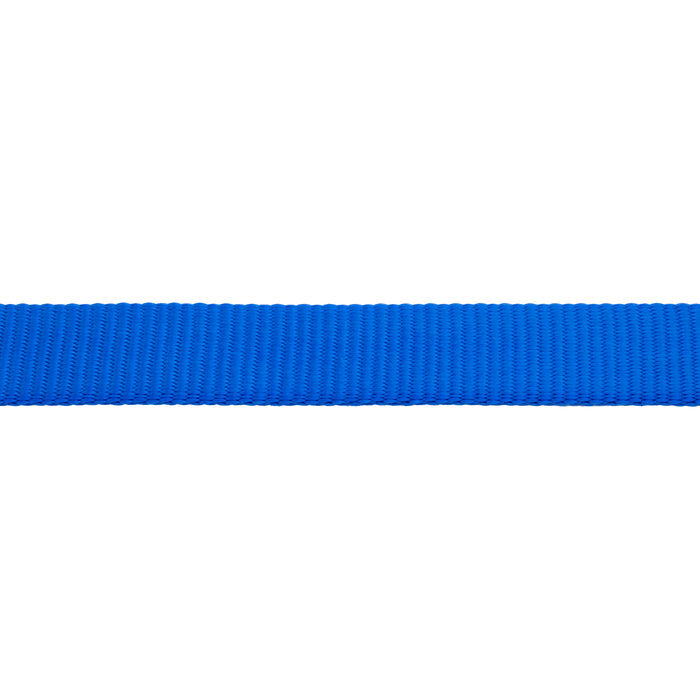 Flat Nylon Lunge Line, 1" x 30 with Snap