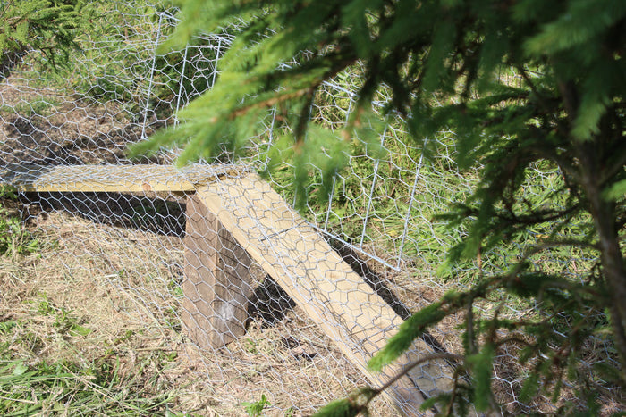 Fox Grid Pheasant Pop Hole