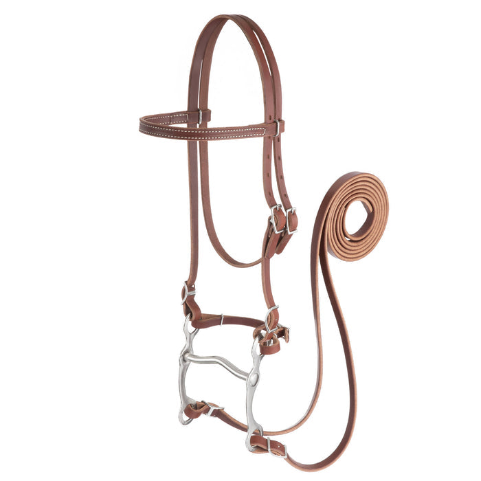 Harness Leather Browband Bridle with Single Cheek Buckle