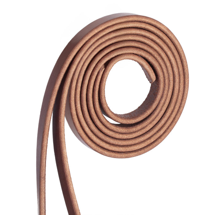 Harness Leather Browband Bridle with Single Cheek Buckle