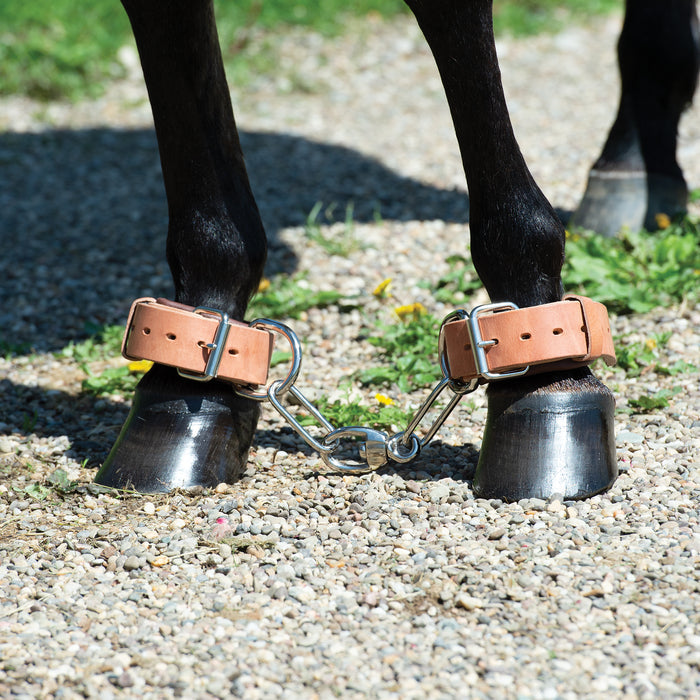 Heavy-Duty Hobble, Leather