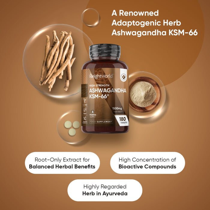 energy-focus-combo-ww-uk-2