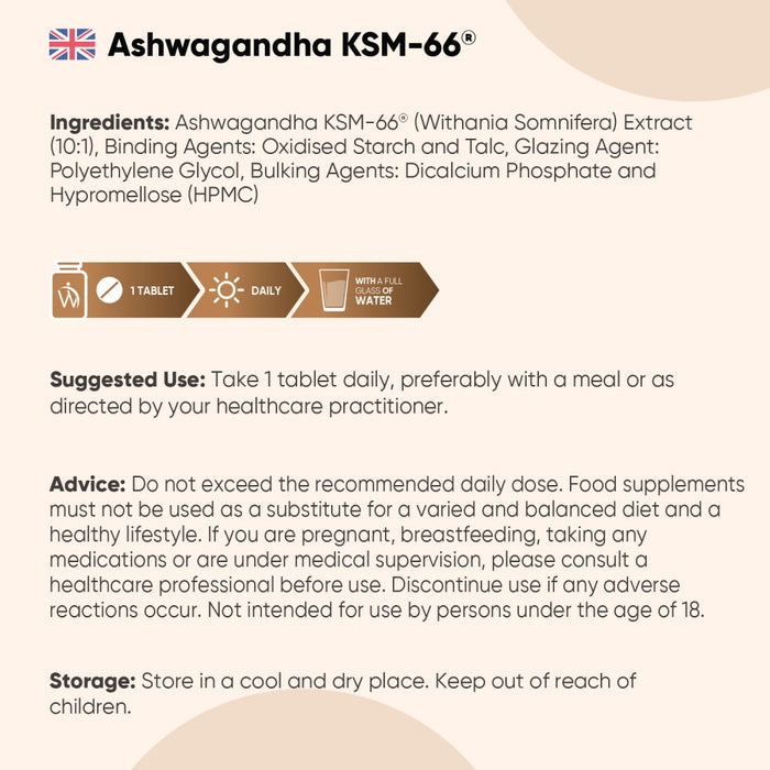 energy-focus-combo-ww-uk-4