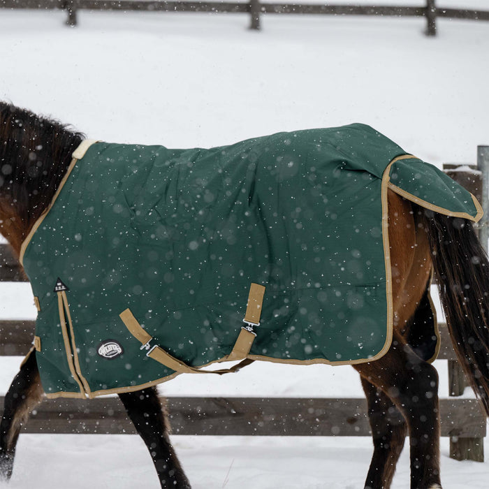 Horse Blanket for Turnout, Medium Weight, 200g Fill, 600 Denier Ripstop