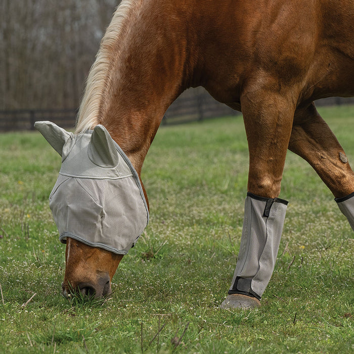Horse Fly Boots - Set of 4, Mesh, Breathable, UV Protection