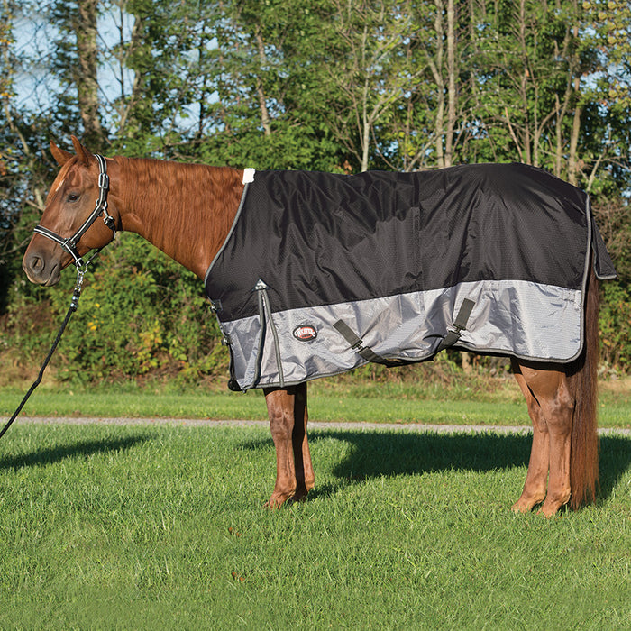 Horse Rain Sheet for Turnout, Lightweight, Mesh Lining, 600 Denier