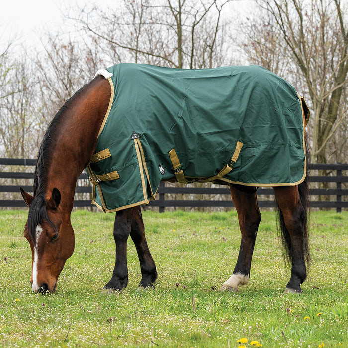 Horse Rain Sheet for Turnout, Lightweight, No Lining, 600 Denier
