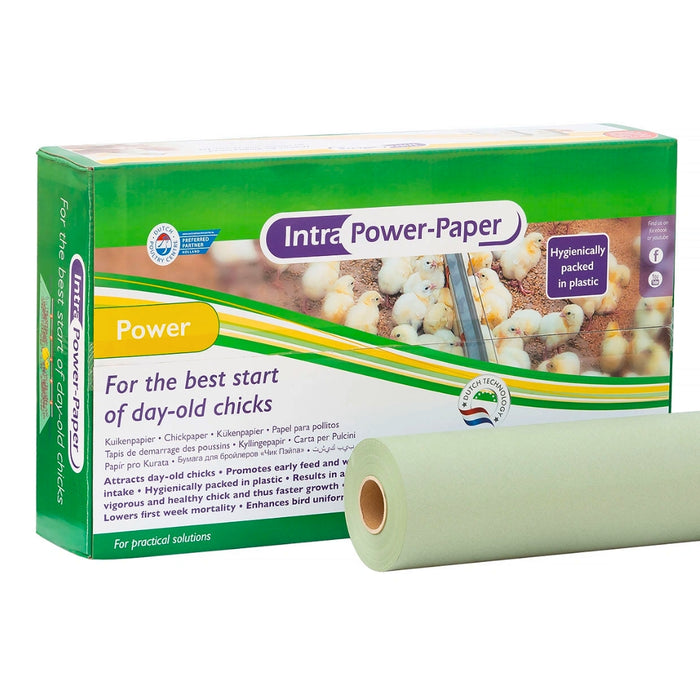 Intra Power Chick Paper