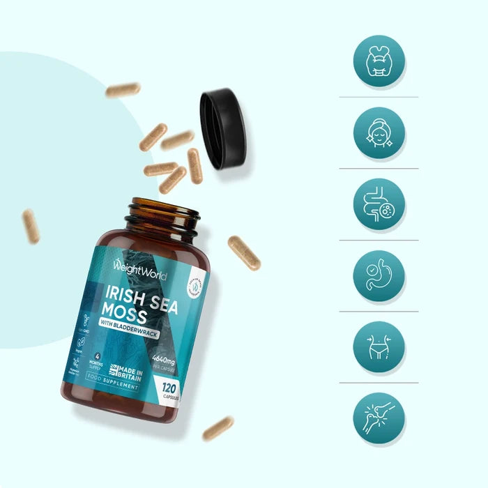weightworld-uk-irish-sea-moss-03