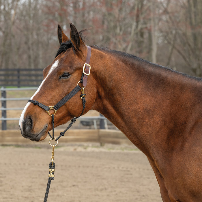 Kalley Krickeberg Breakaway Horseman's Halter, Nylon, Leather & Rope Combination Horse Halter