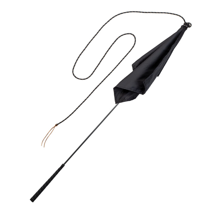 Kalley Krickeberg Stick-and-String & Flag Training Kit