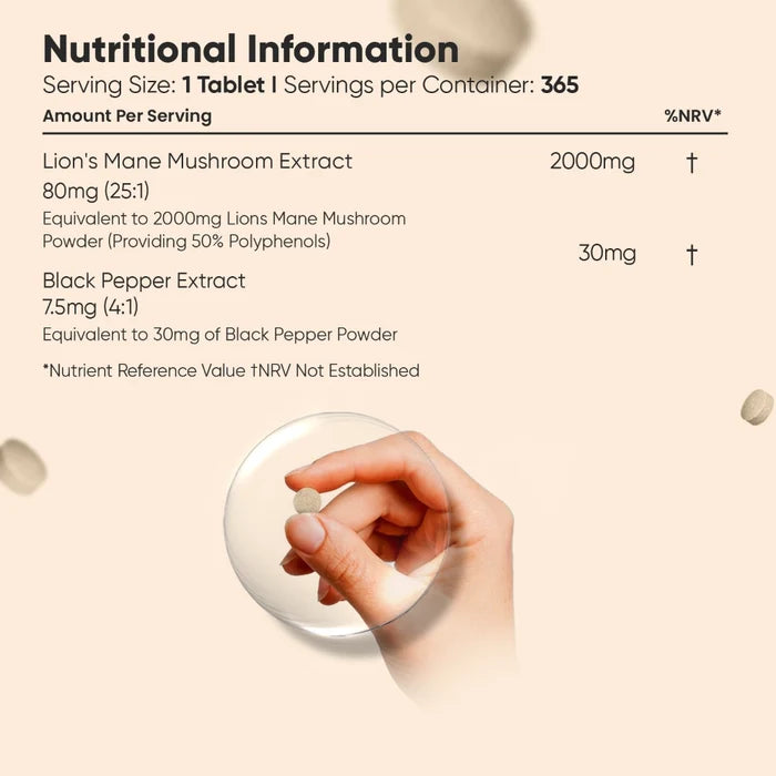 weightworld-uk-lion-mane-mushroom-extract-05