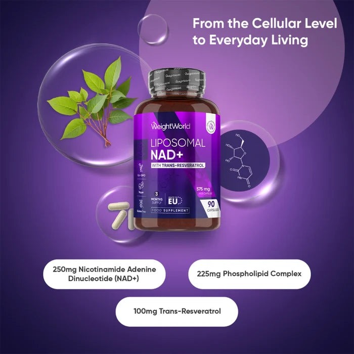 weightworld-uk-liposomal-nad-with-resveratrol-02