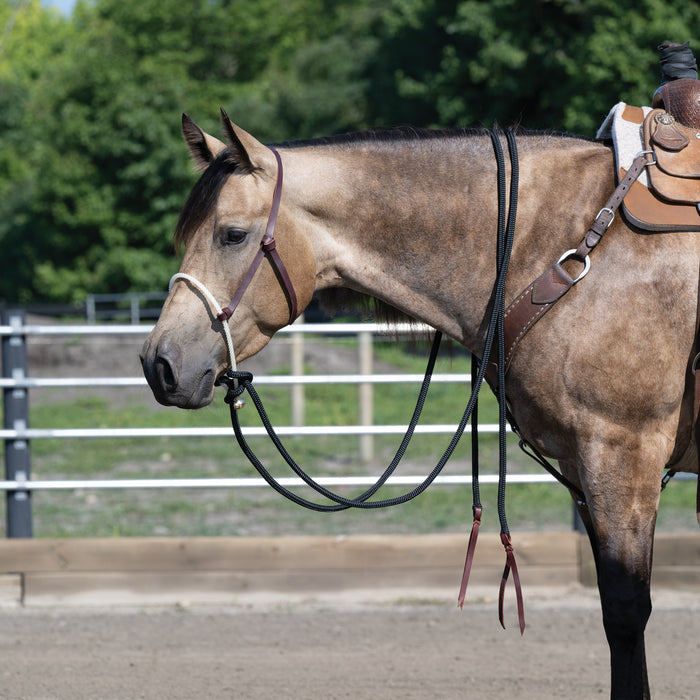 Loping Hackamore: Rope Noseband, Leather Hanger with Silvertip Split Reins