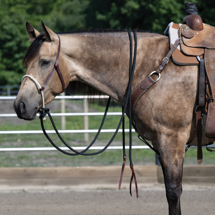 Loping Hackamore: Rope Noseband, Leather Hanger with Silvertip Split Reins