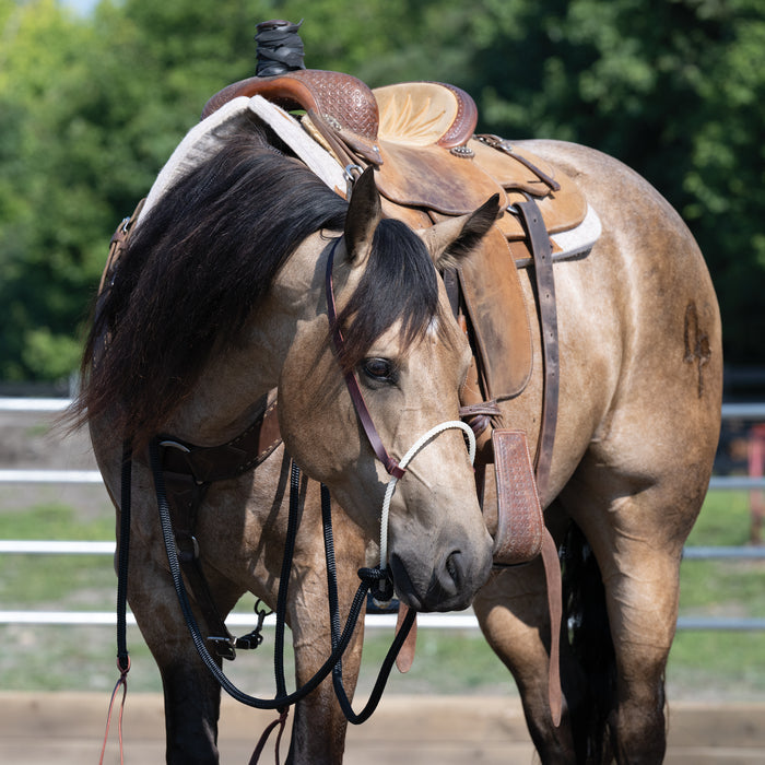 Loping Hackamore: Rope Noseband, Leather Hanger with Silvertip Split Reins