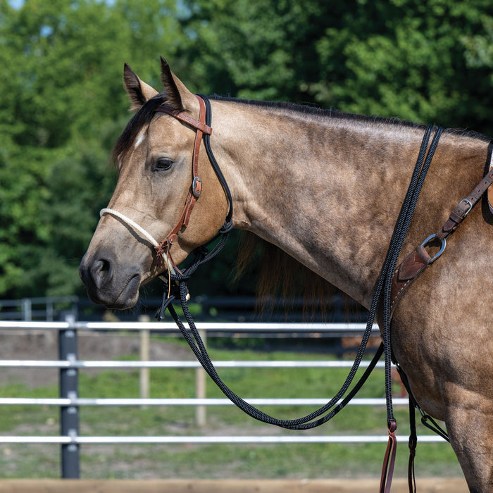 Loping Hackamore: Rope Noseband, Leather Hanger with Silvertip Split Reins