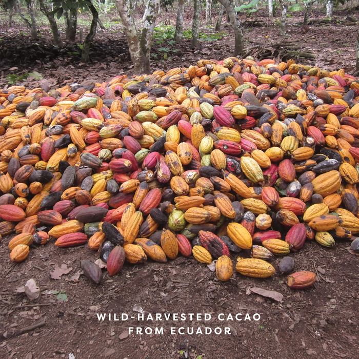 mCacao | Cacao Powder