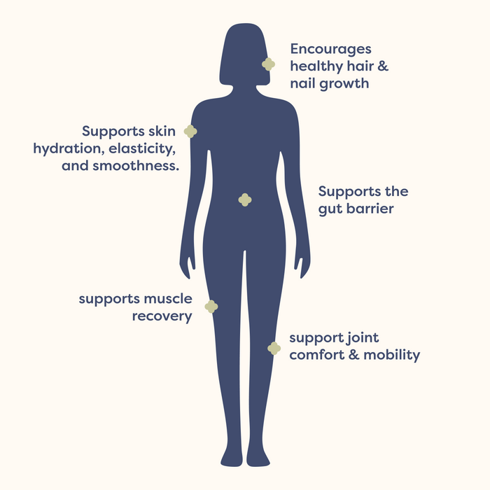 mCollagen | Grass-Fed Collagen Peptides