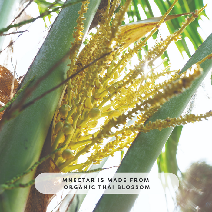 mNectar | Organic Coconut Sap Powder