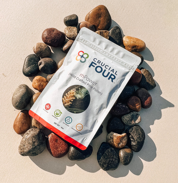 mPower | Wild Harvested Pine Pollen Powder